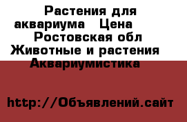 Растения для аквариума › Цена ­ 50 - Ростовская обл. Животные и растения » Аквариумистика   